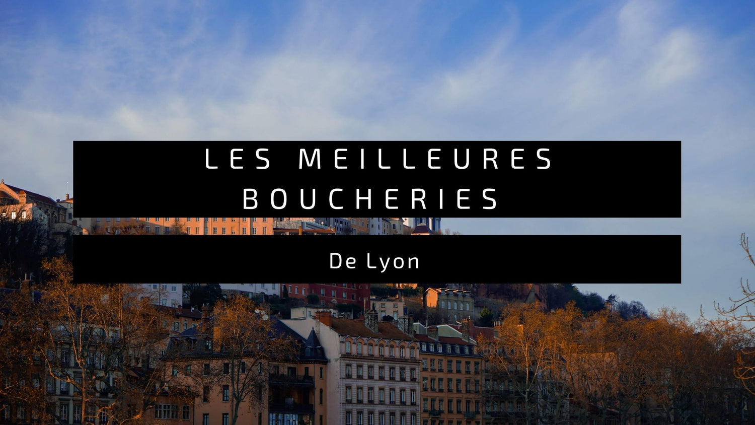 Les Meilleures Boucheries de Lyon